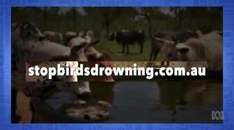 Gruen S18E08 WEB H264-RBB
