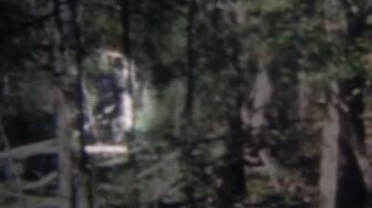 The Proof Is Out There S06E16-HDTV-X264-NGP